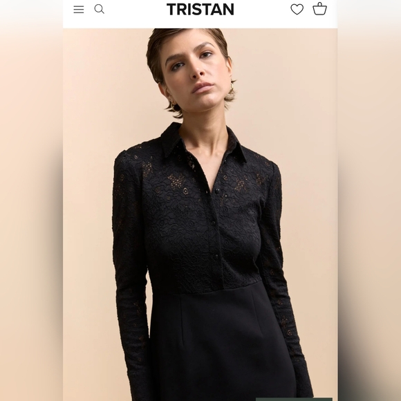 Tristan Ponte And Lace Fitted Dress Sz Xl - Picture 3 of 8